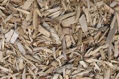 biomass boilers Hawkhope